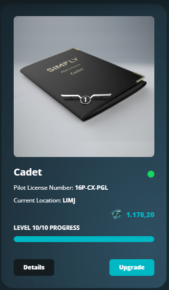 Active License